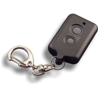 Small Rectangle with 2 Round Buttons for Car Alarms, Immobilisers and Central Locking systems