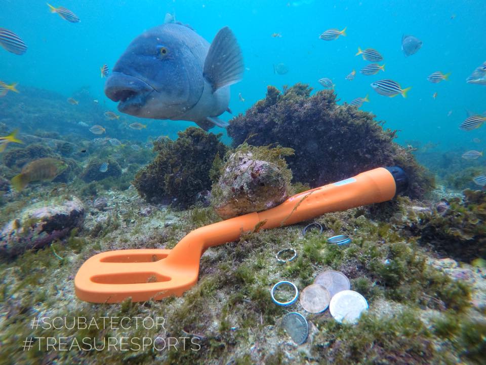 UNDERWATER METAL DETECTOR = COMPACT MINI METAL DETECTOR FOR UNDERWATER = Diving, Snorkelling, GOLD Rings, Coins, Silver Metal Detecting